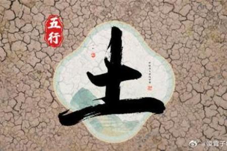 探秘平地木命：探索五行之中的独特人生之路