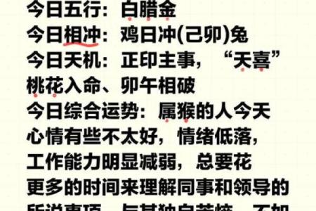 女命桃花入命的深意与生活指导