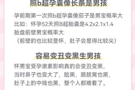 揭秘女性生男孩的命局:有哪些因素影响胎儿性别?