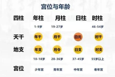 解析女命日元身弱的深层含义与应对之道
