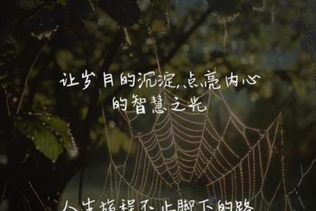探寻“就高的命”背后的深意与生活哲学
