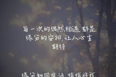命理视角下的异地恋:你们的缘分如何?