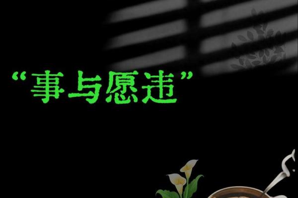 探秘农历3月17日的命运之道：阳光下的生命哲学
