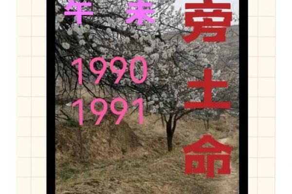 根据路旁土命，如何为孩子起个合适而美好的名字？