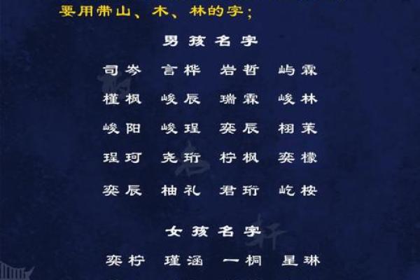 男孩属鸡辰时的命运解析：如何扬长避短，成就未来