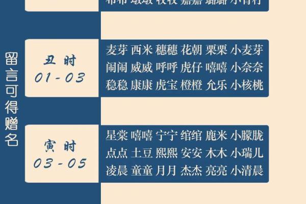 男孩属鸡辰时的命运解析：如何扬长避短，成就未来
