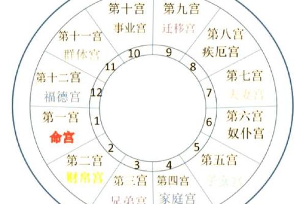 探秘正官格的命运象征：与生肖的神秘关联