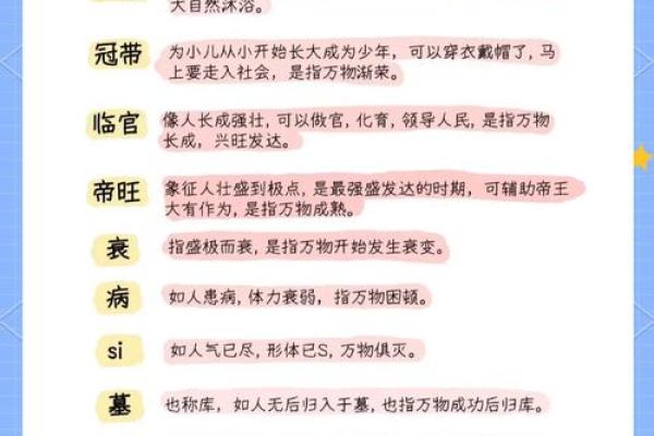 命理十二长生：解密命局中的生命状态与运势轨迹