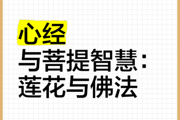 命里带两朵莲花：揭开人生中的优雅与智慧之旅
