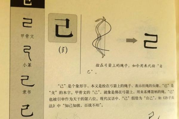 命理恒长：探索生命中的不变与变迁