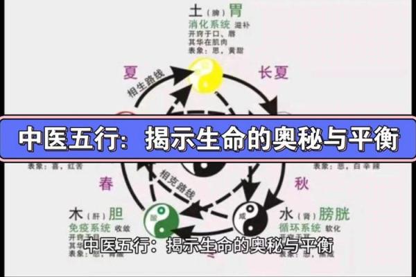 探索科学家行业的五行命理：解锁智慧与职场的奥秘