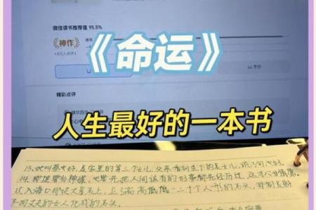 男人的命运分层:解读三种人生等级