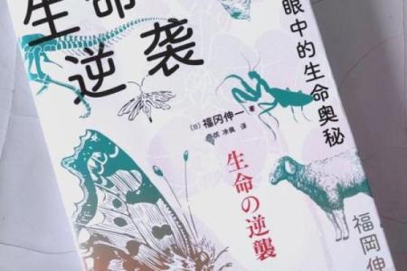 探索命的奥秘:命运、命理与人生的交织