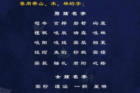 男孩属鸡辰时的命运解析:如何扬长避短,成就未来