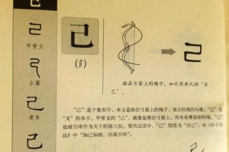 命理恒长:探索生命中的不变与变迁