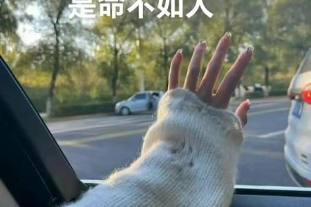 命将绝处亦天愁，探寻生活的另一种可能性