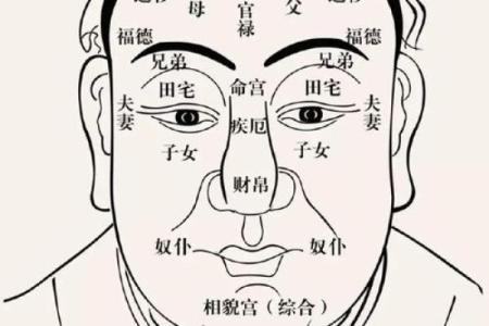 解密富贵命：女人脸型与命运的隐秘联系