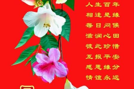 九三年十月出生的鸡年命运解析与人生启示