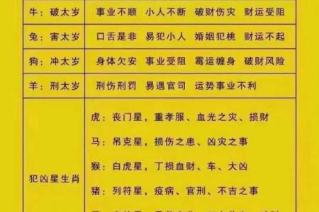 2016年农历生肖与命运:解读属于你的命格与未来机会