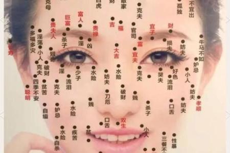 女命偏官旺盛的深层解析与命运启示