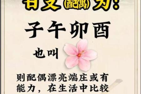 探秘男命地支酉：象征与人生启示的深邃内涵