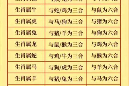 二零零年属龙人的命运解析:性格、事业与情感的全面探讨