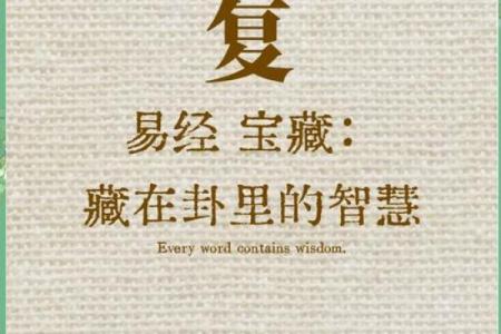 震宫东四命奇妙解读：探索命卦的智慧与人生启示