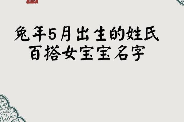 兔年命运解析：明年出生的兔宝宝们的命与运