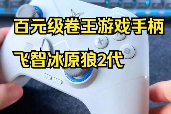 《暖雪：掌握游戏手柄，畅享无忧冒险体验》