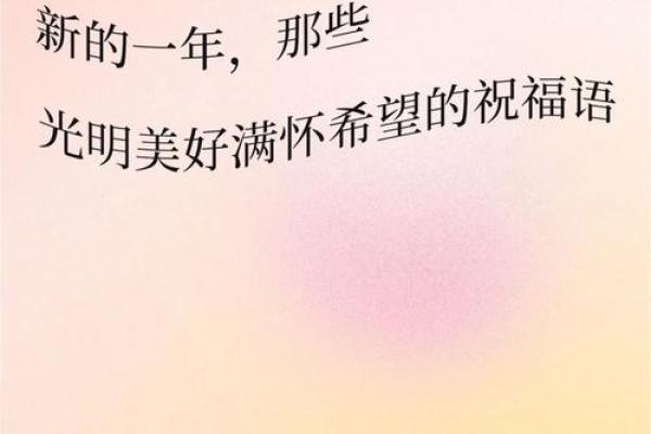 命里小阳春：探索生命中的光明与希望