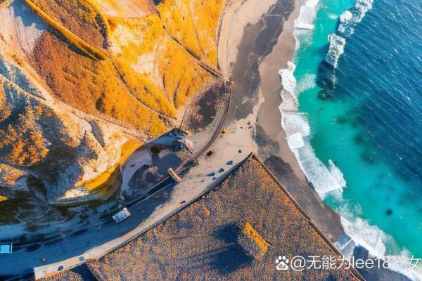 命里怕水的原因与影响：探秘水与命运的奥秘
