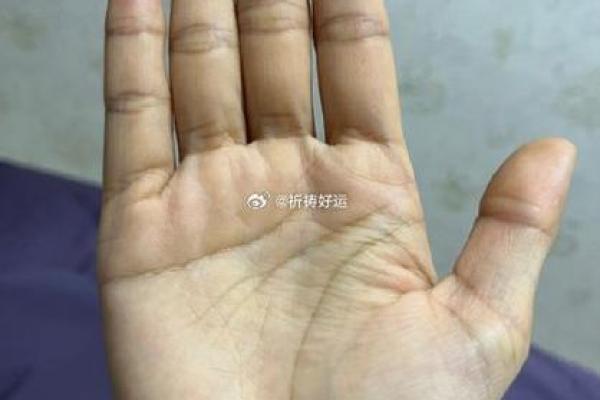 掌握手相秘境：横纹揭示你的命运之钥