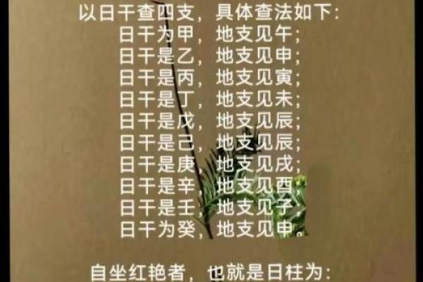 命理中的命局：探寻人生的运势与变迁