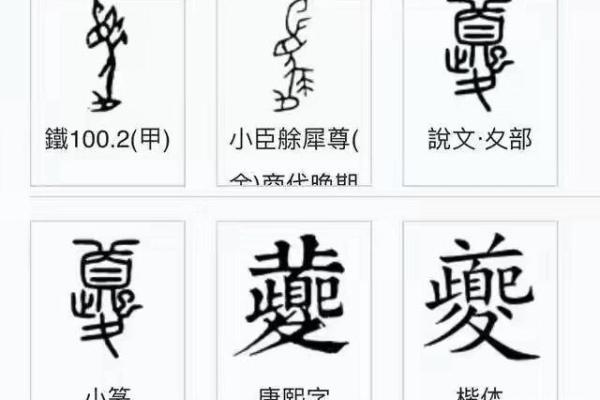探秘命硬命毒的奇特现象与文化解读