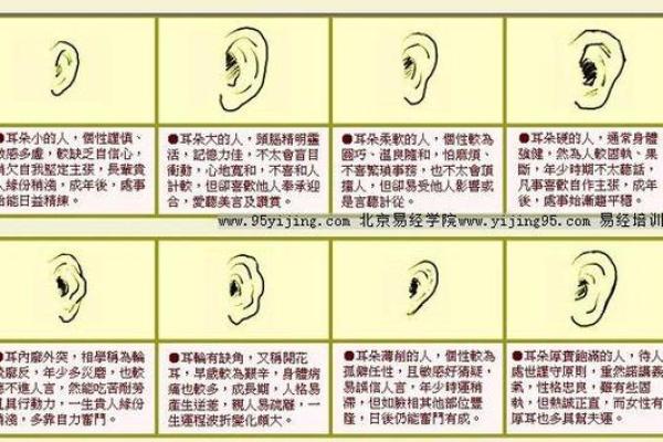 1985年出生的人命运与性格解析：揭开你的命运之谜！