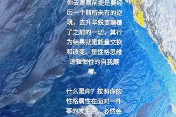 命与命交换：探索人生的深层意味与命运的交汇