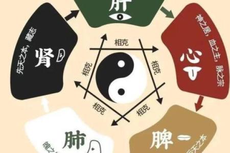 命理五行:探寻木、火、土、金、水的和谐之道与人生启示