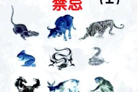 女命三合为财,解密命理与财富的秘密之路