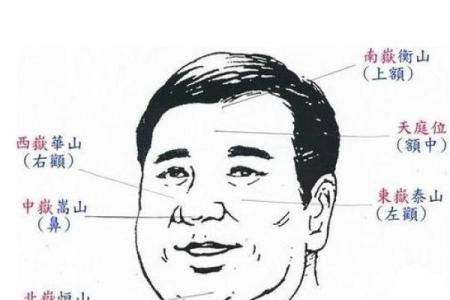 命好的男人：什么样的男人才是真正的命好？