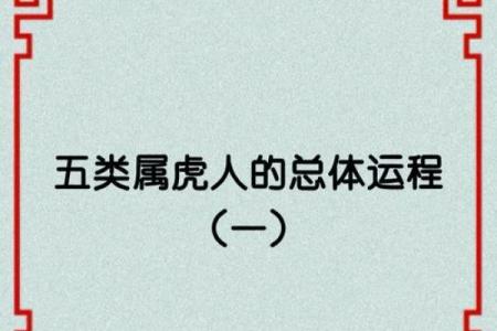 农历五月属虎的人命格解析:勇敢与智慧的结合