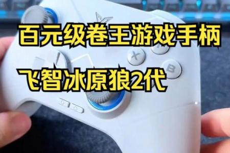 《暖雪:掌握游戏手柄,畅享无忧冒险体验》