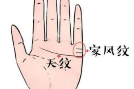掌握手相秘境:横纹揭示你的命运之钥