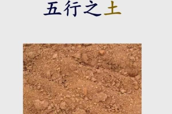 命里缺土缺水，运势与性格的深层解析