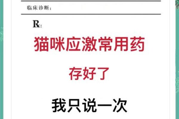 救猫命用什么药？掌握这几种常见药物的使用技巧！