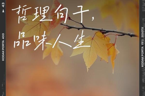 探索离命西四命的深刻内涵与人生哲理