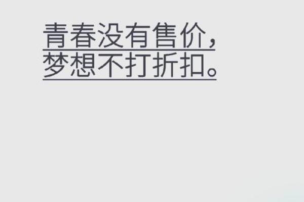 几百块钱也能玩出精彩人生，追寻心中的梦想！