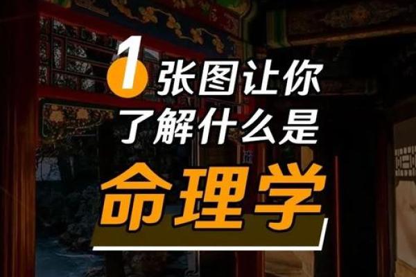 命理四官解析：揭示命运背后的神秘力量