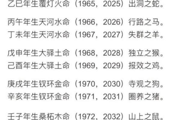 解析女命八字，揭示伴侣职业的奥秘与玄机！