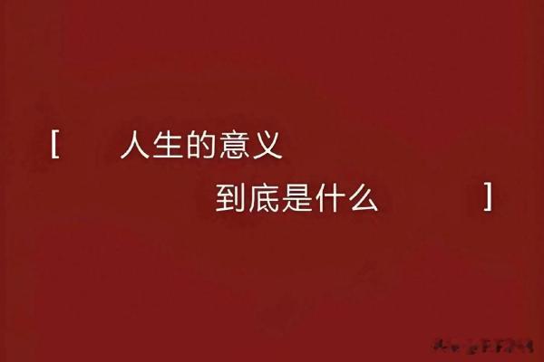 当生命的意义被质疑，我们该何去何从？