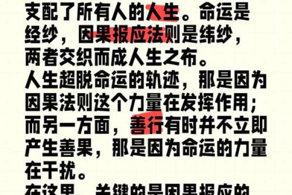 探寻六九年出生的命理密码：命运、性格与人生之旅